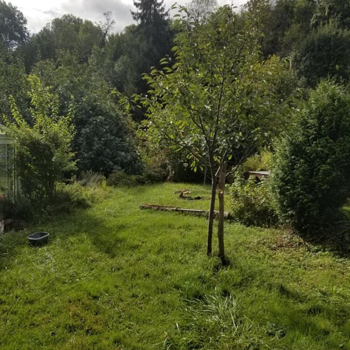 Photo of Others in Montseron