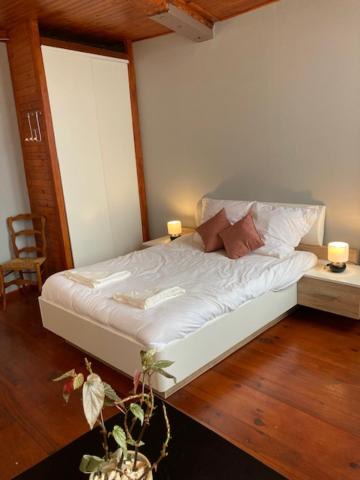 Photo of Others in Rieumes