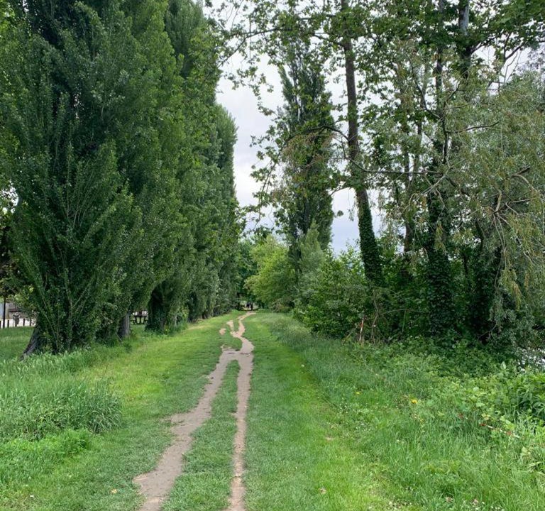 Photo of Others in Romans-sur-Isere