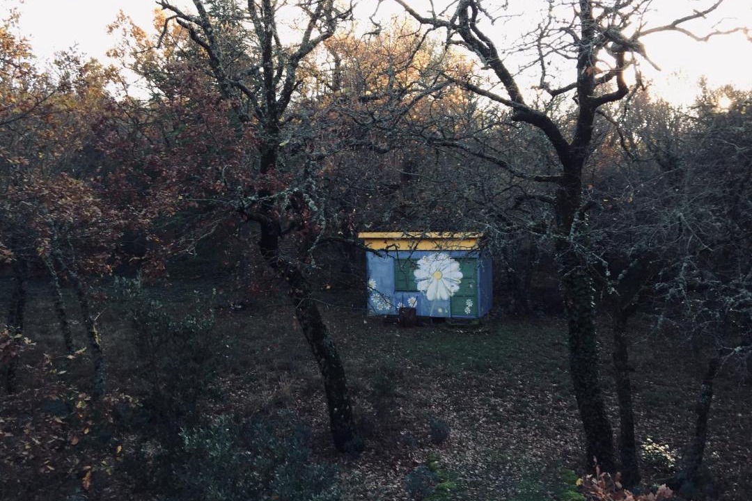 Photo of Others in Plan-d'Aups-Sainte-Baume