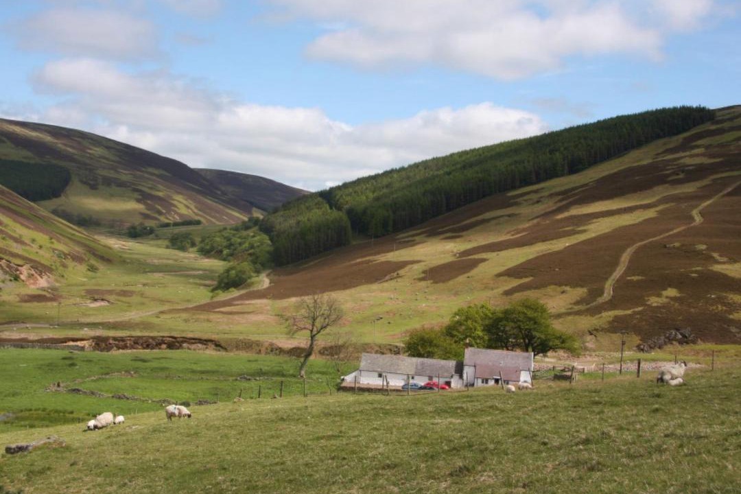 Photo of Others in Wooler