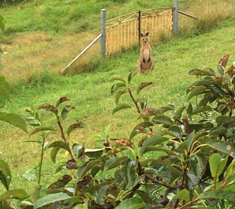 Photo of Others in Rydal