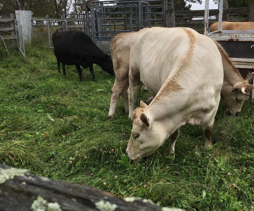 Photo of Others in Rydal