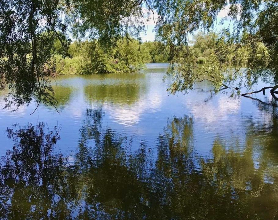 Photo of Outdoor in Westbere