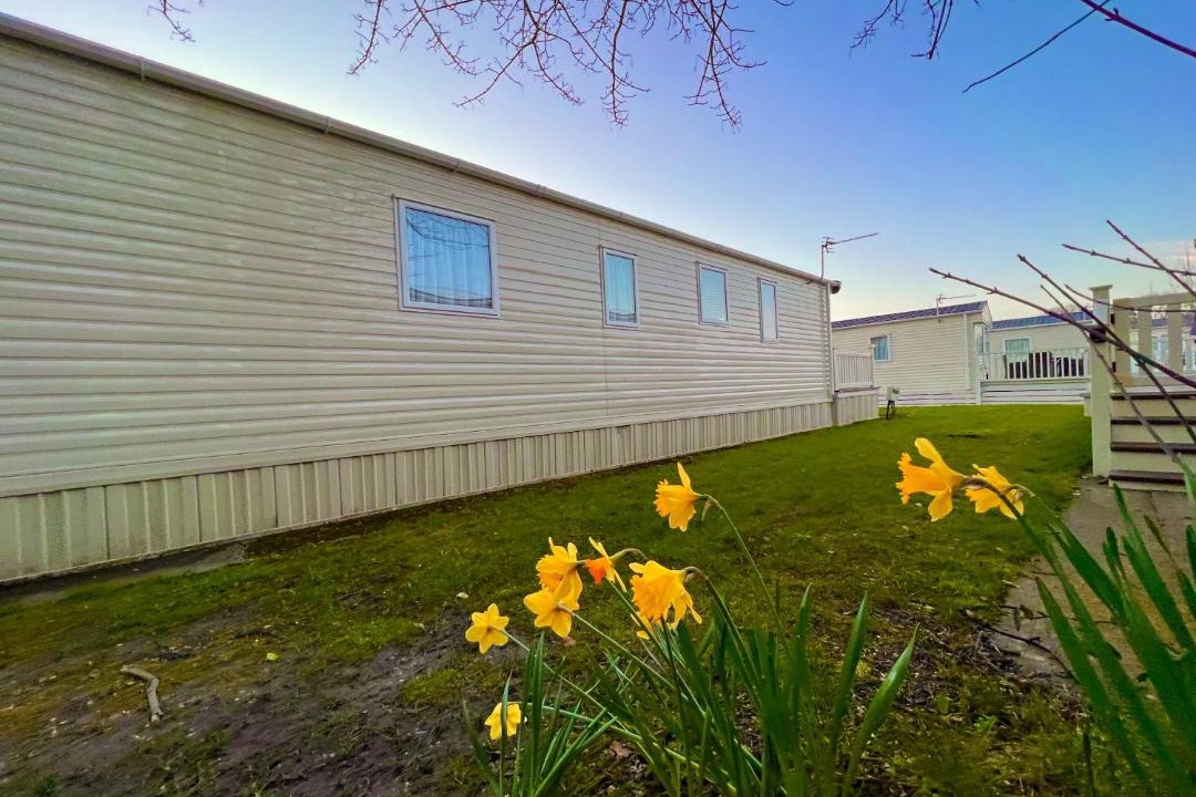 Photo of Buildings in New Forest District