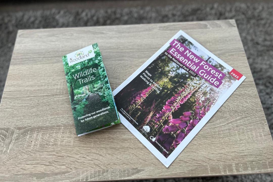 Photo of Others in New Forest District