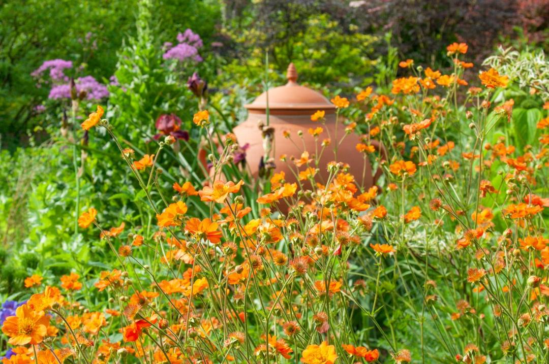 Photo of Others in King's Cliffe