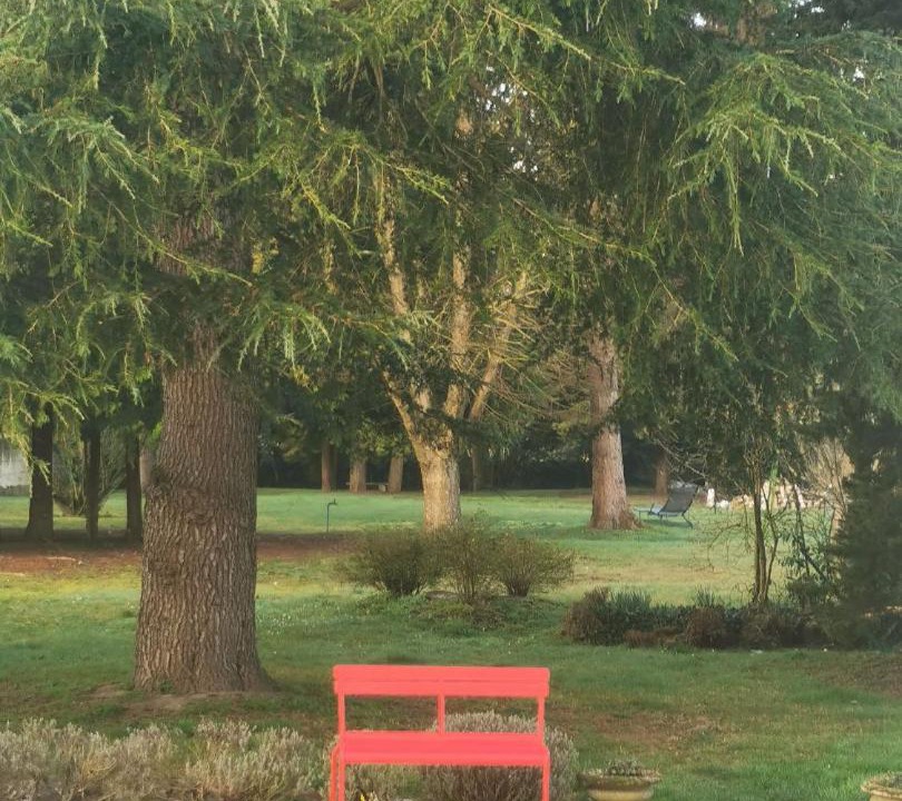 Photo of Outdoor in Beaulieu-les-Loches