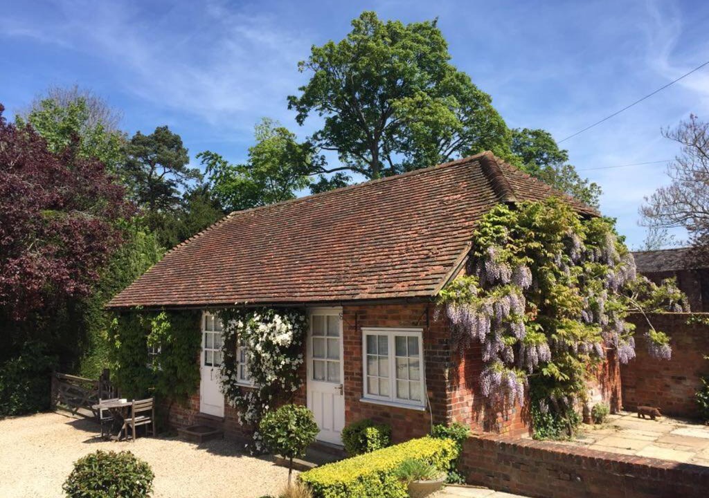 Photo of Others in Mapledurwell