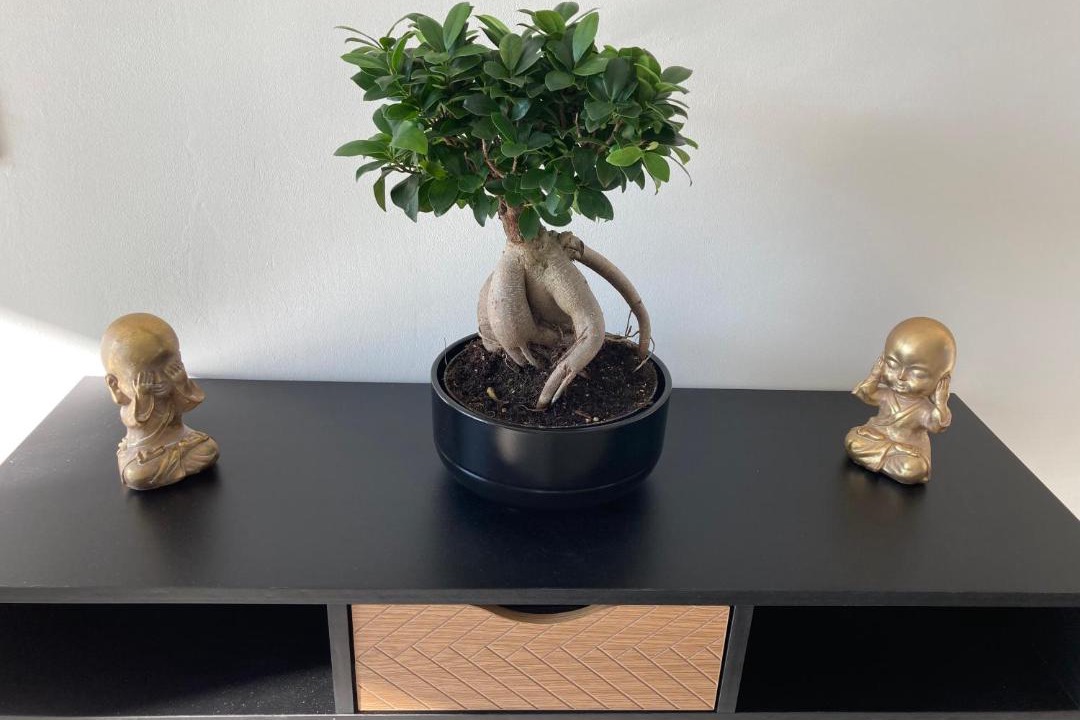 Photo of Others in La Bouexiere