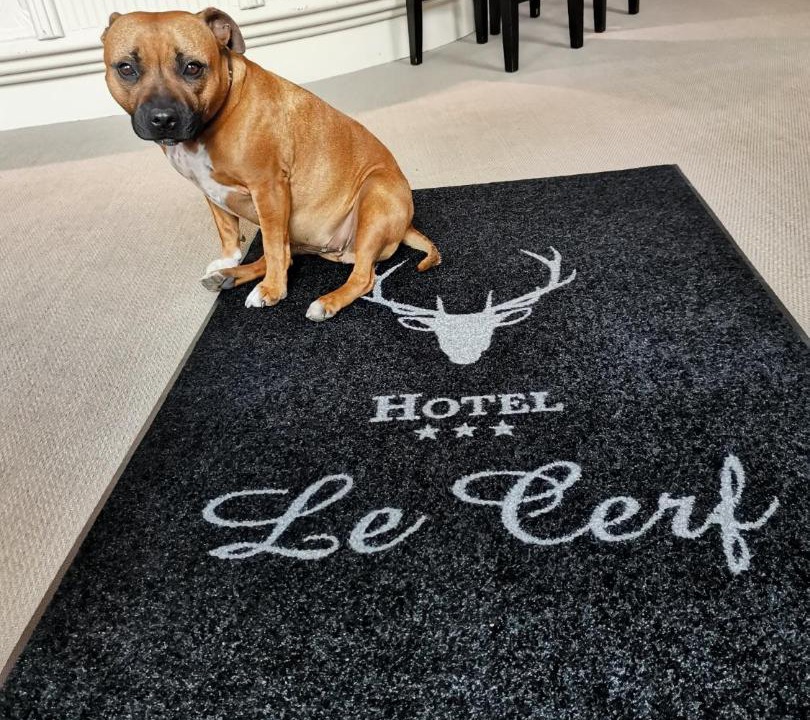 Photo of Others in Briare