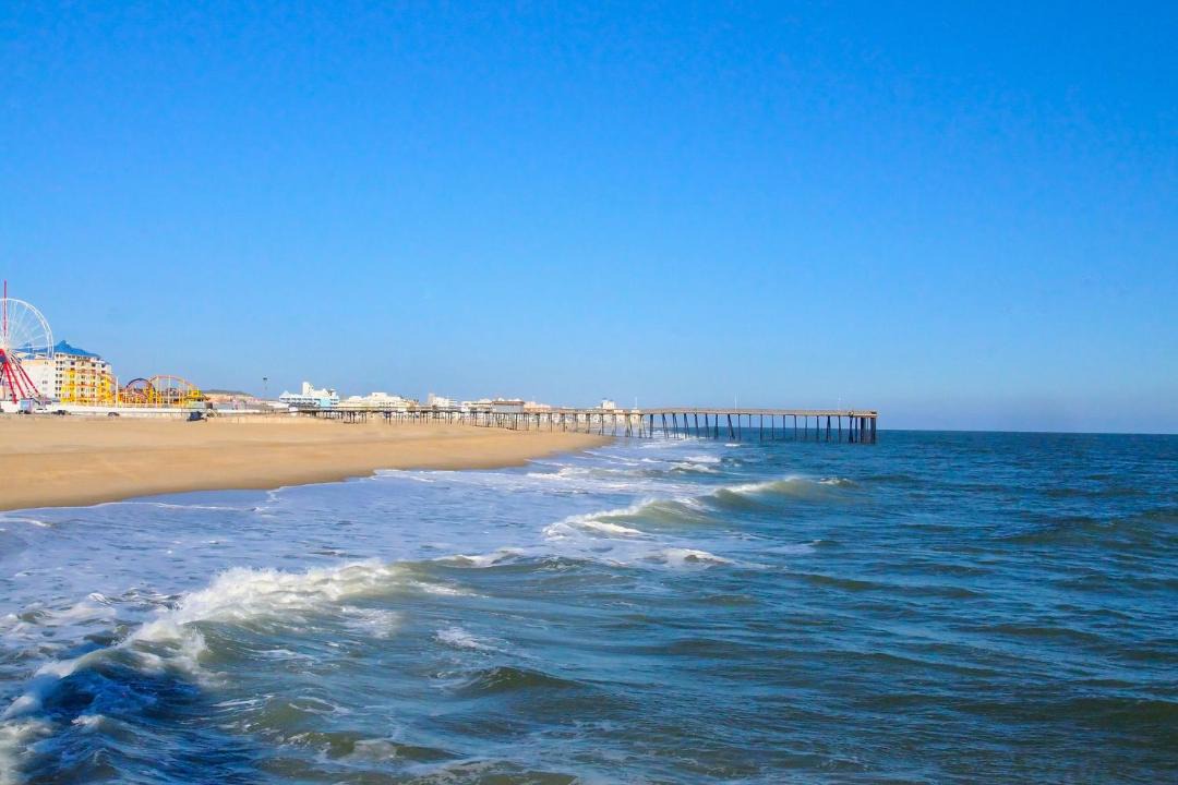 Photo of Others in North Ocean City