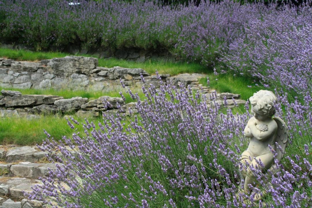 Photo of Others in Taumarunui