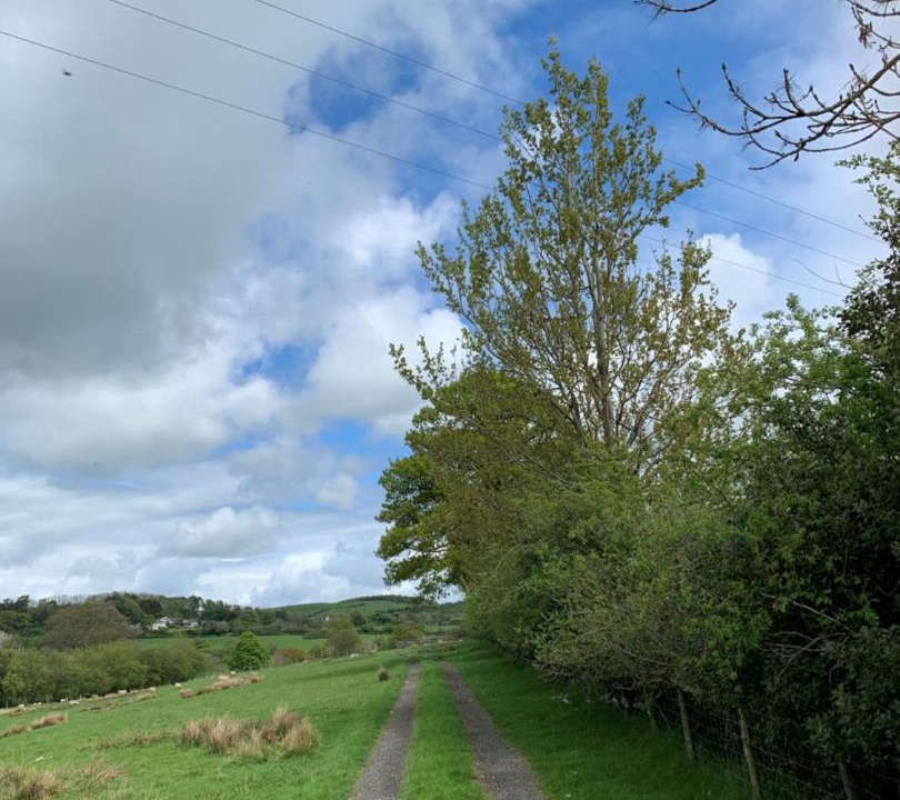 Photo of Others in Penrith