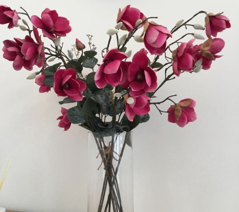 Photo of Others in Brighton City Centre