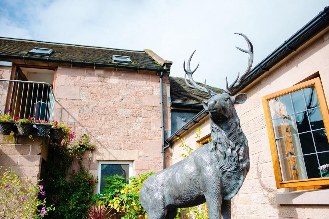 Photo of Others in Macclesfield