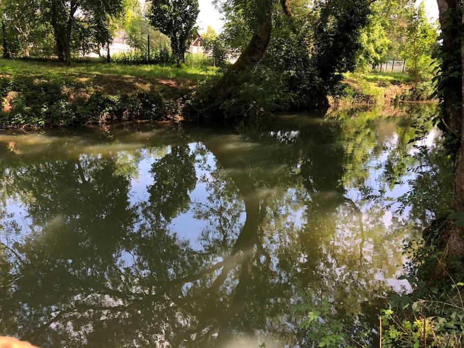 Photo of Outdoor in Beaulieu-les-Loches