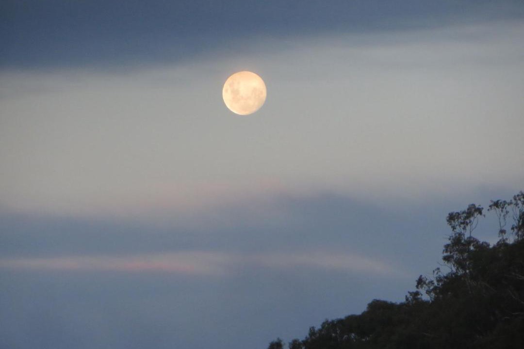 Photo of Others in Eildon