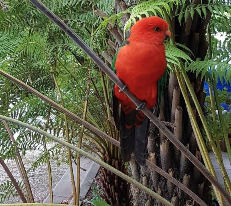 Photo of Others in Eildon