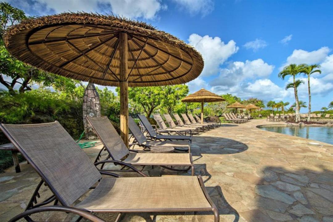 Photo of Others in Princeville