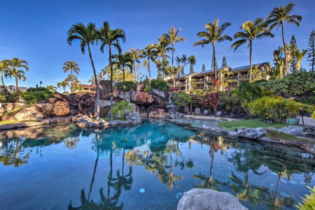 Photo of Others in Princeville