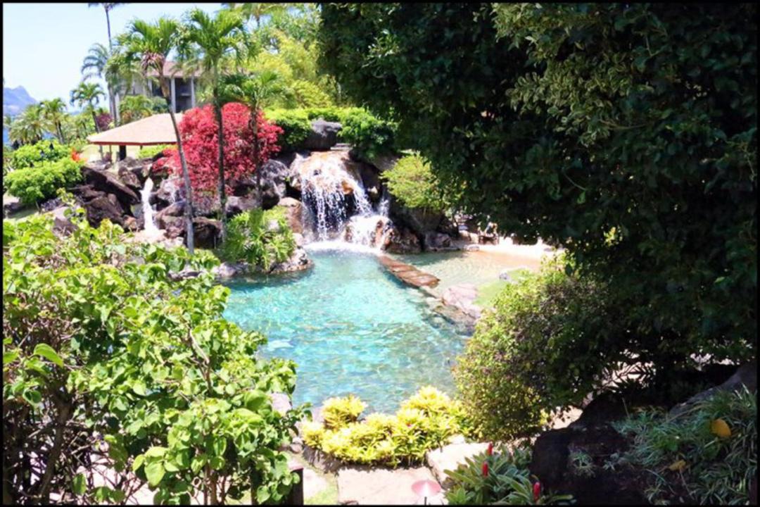 Photo of Others in Princeville