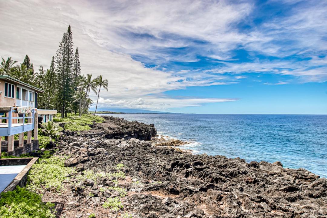 Photo of Others in Kapoho