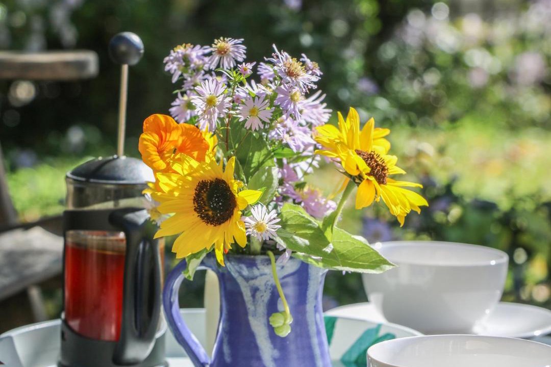 Photo of Others in Morwellham