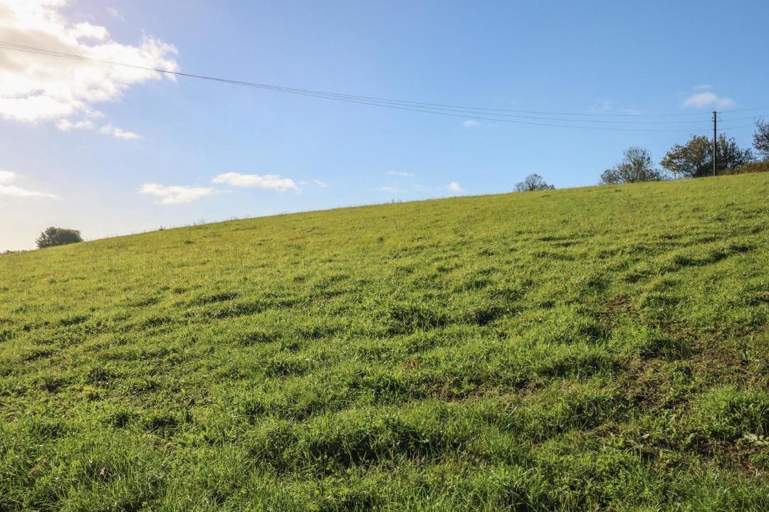 Photo of Others in Kidwelly