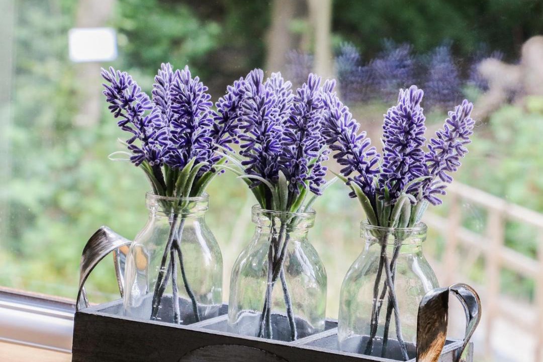 Photo of Others in Kiplin