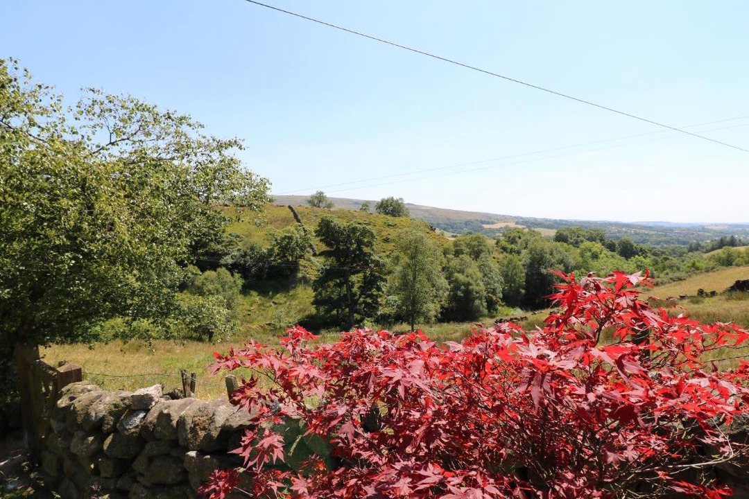 Photo of Outdoor in Upper Hulme