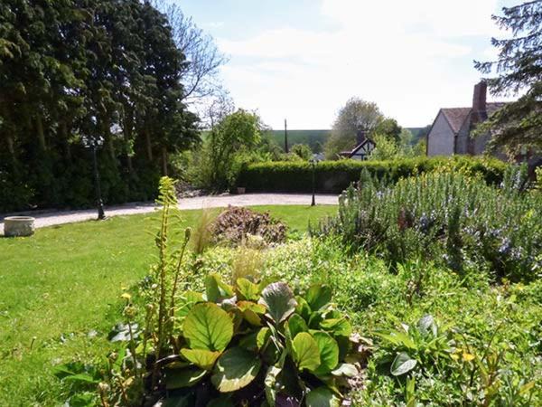 Photo of Others in Much Wenlock