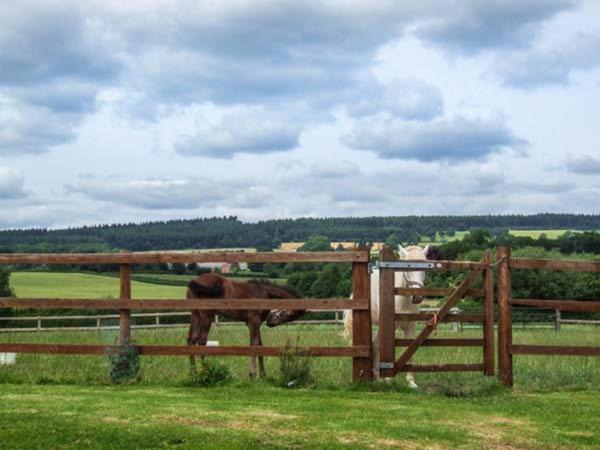 Photo of Others in Aymestrey