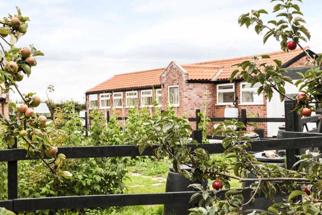 Photo of Others in Mansfield