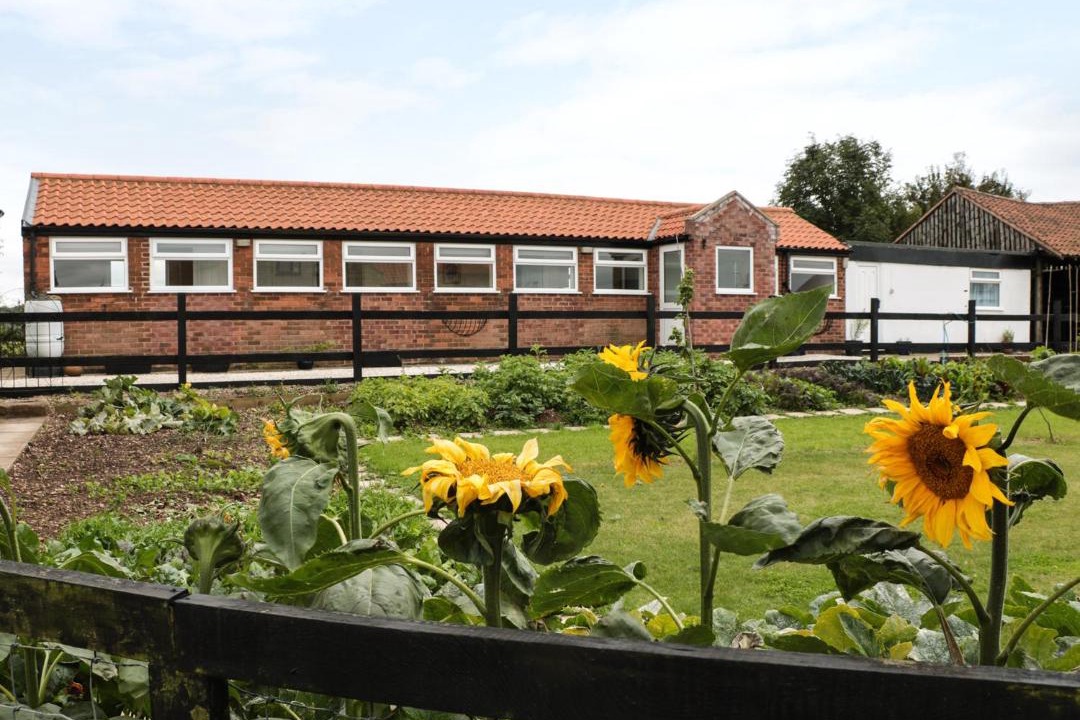 Photo of Others in Mansfield