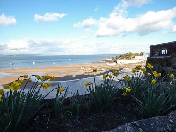 Photo of Others in Tenby