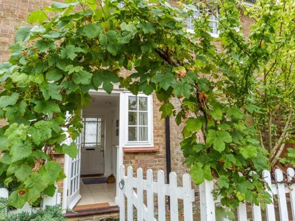 Photo of Others in Herne Bay