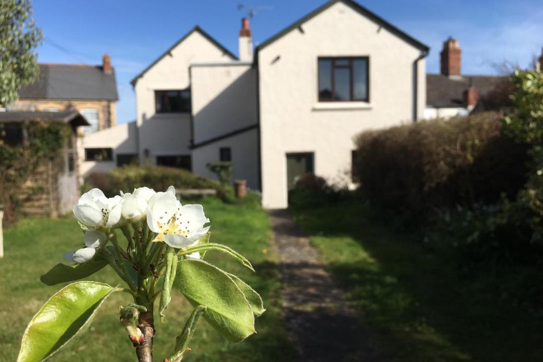 Photo of Others in Watchet