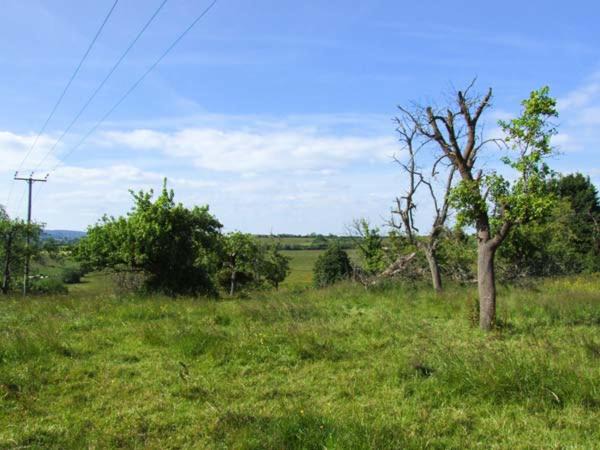 Photo of Others in Blaisdon