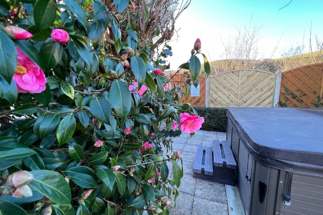 Photo of Others in Llanrhystud