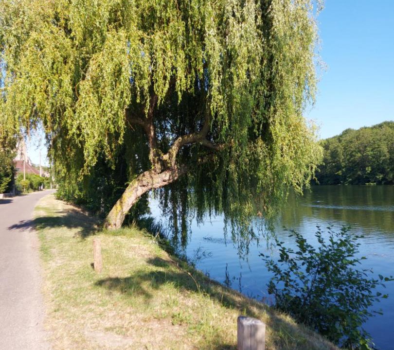 Photo of Others in Laroche-Saint-Cydroine