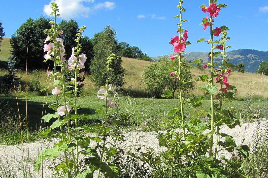 Photo of Others in La Roche-des-Arnauds