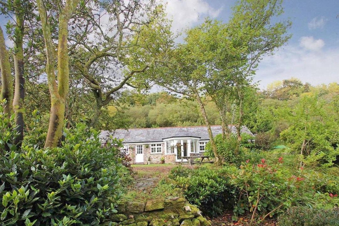 Photo of Others in Bodmin