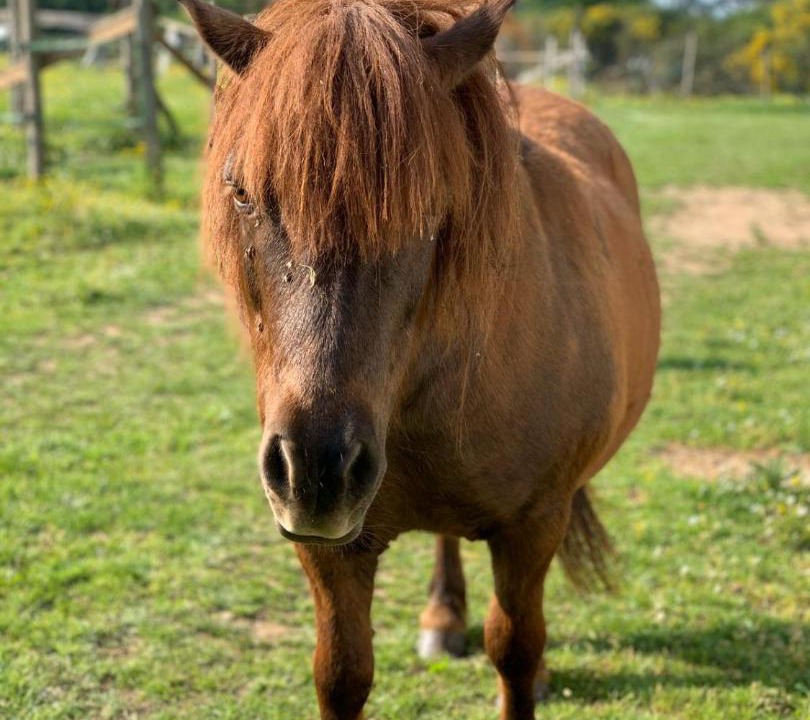 Photo of Others in La Gacilly