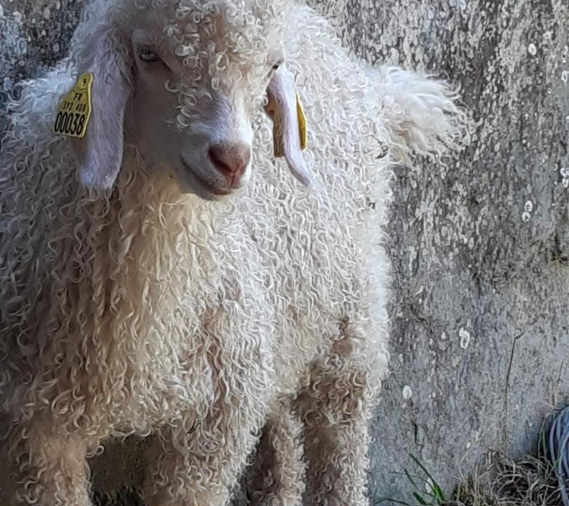 Photo of Others in La Gacilly