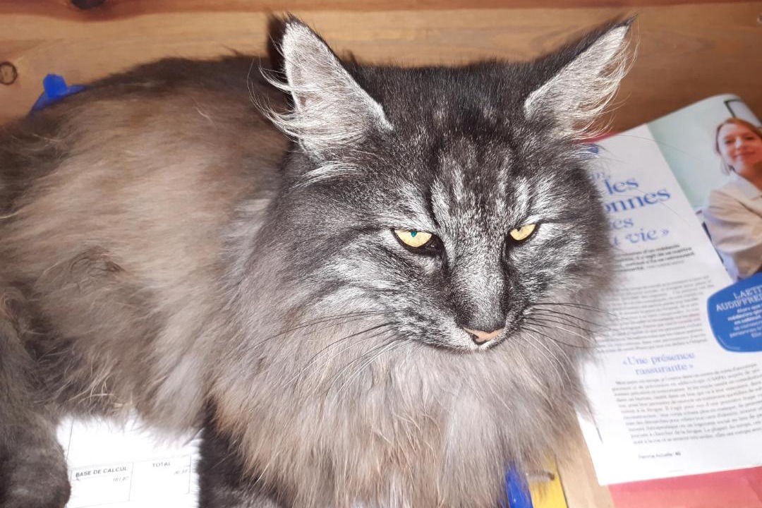 Photo of Others in La Gacilly