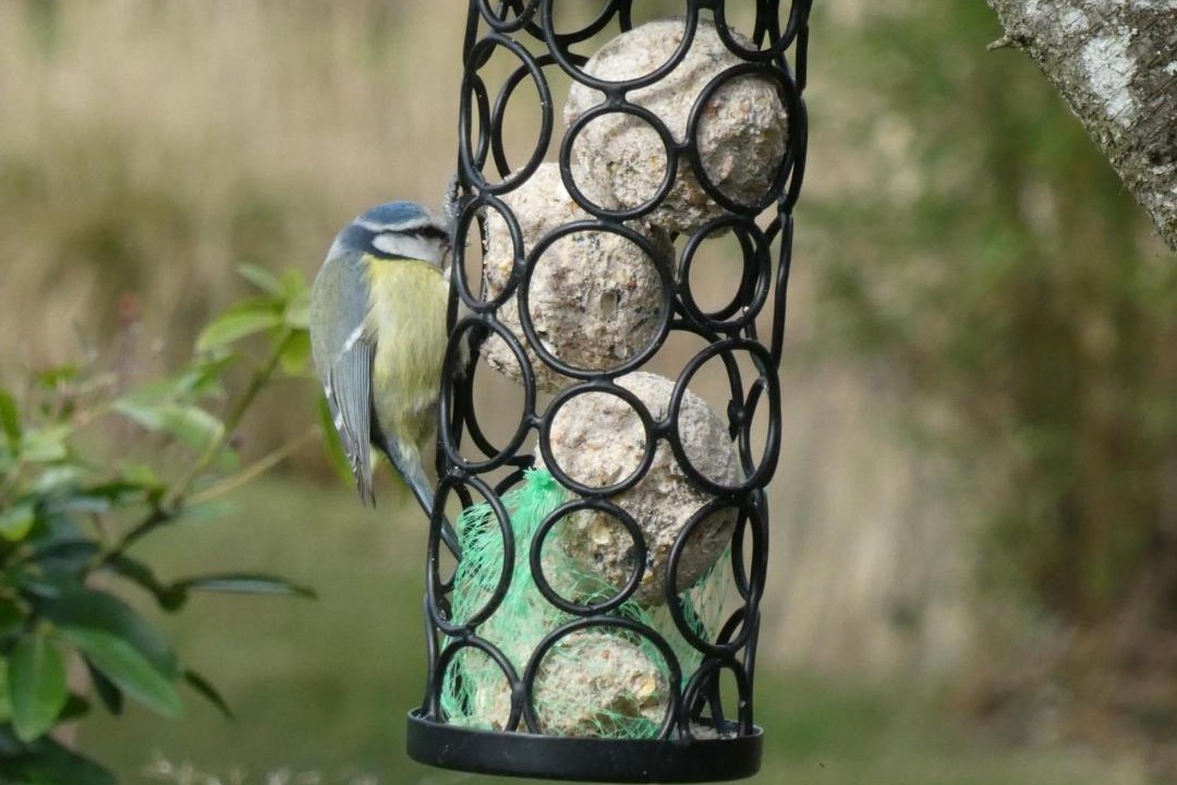 Photo of Others in Longny-au-Perche