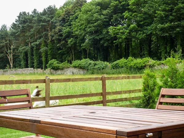 Photo of Others in Lancaster