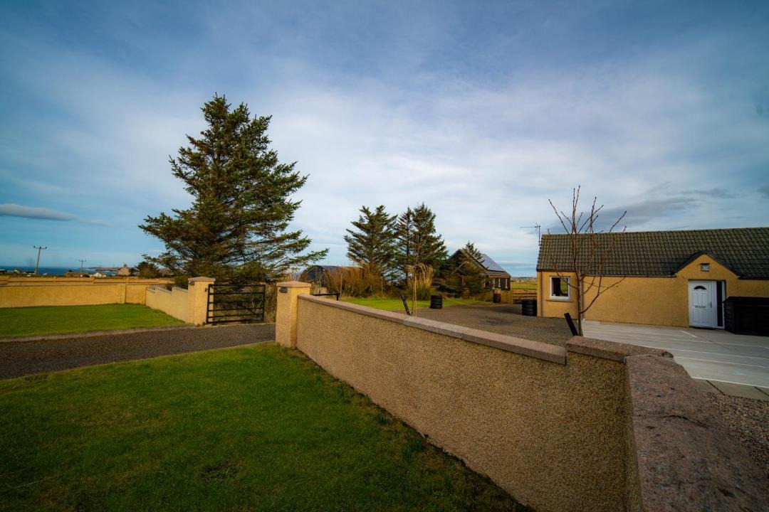 Photo of Others in Gills