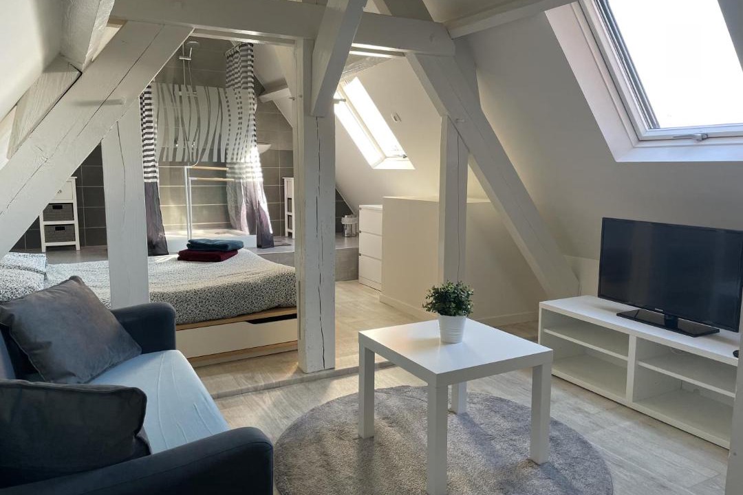 Photo of Livingroom in Blois